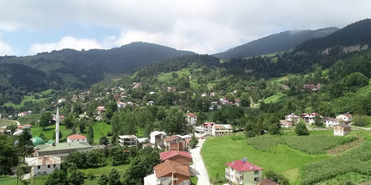 Rize'de yaz nüfus yoğunluğu, kuraklığa neden oluyor
