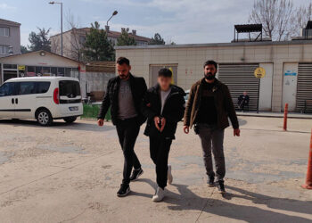 Sazan sarmalı yöntemi dolandırıcılığı; 1 gözaltı