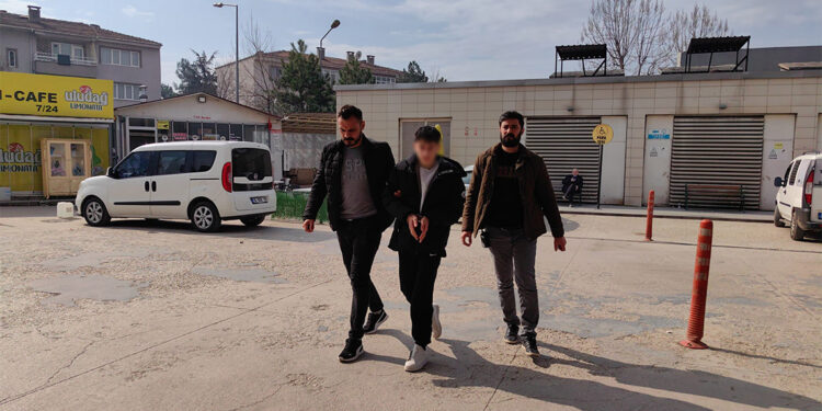 Sazan sarmalı yöntemi dolandırıcılığı; 1 gözaltı