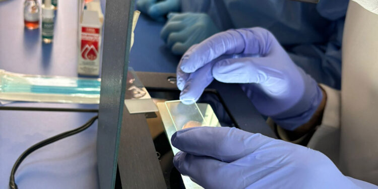 Salgın hastalıklara karşı yerli tanı kiti