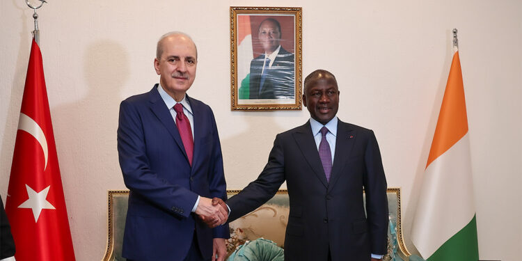 Afrika'nın uyanışına katkıda bulunmaya gayret ediyoruz