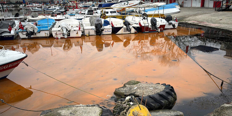 Tekirdağ sahilinde deniz turuncu oldu