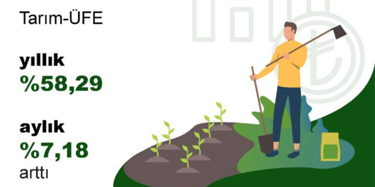 Tarım üretici fiyatları şubat ayında yıllık yüzde 58,29 arttı