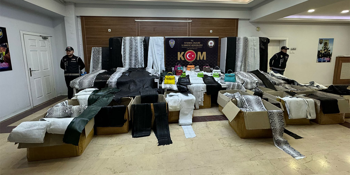 Türkiye'ye hasır çanta adı altında yılan derisi sokanlara operasyon düzenlendi, bin 486 piton yılanı derisi ele geçirildi.