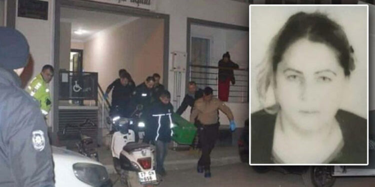 Tartıştığı annesini bıçaklayarak öldürdü