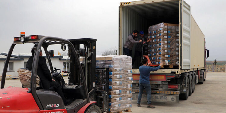 Türkiye'den Rusya'ya hibrit ayçiçeği tohumu ihracatı