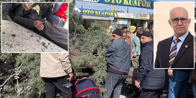 Üzerine ağaç devrilen başkan adayının ayağı kırıldı