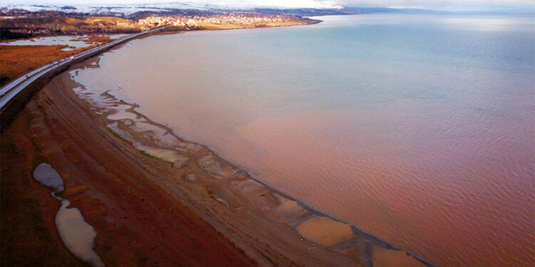 Van Gölü kahverengiye boyandı