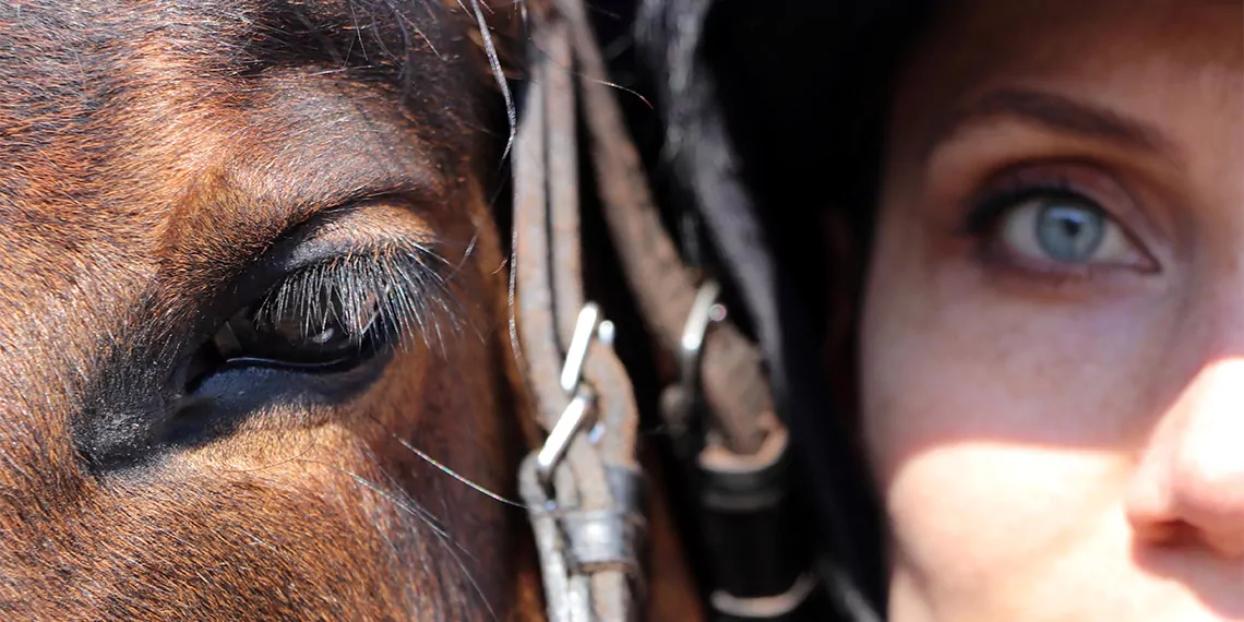 Atlı polis grup amirliği'nin tek kadın süvarisi