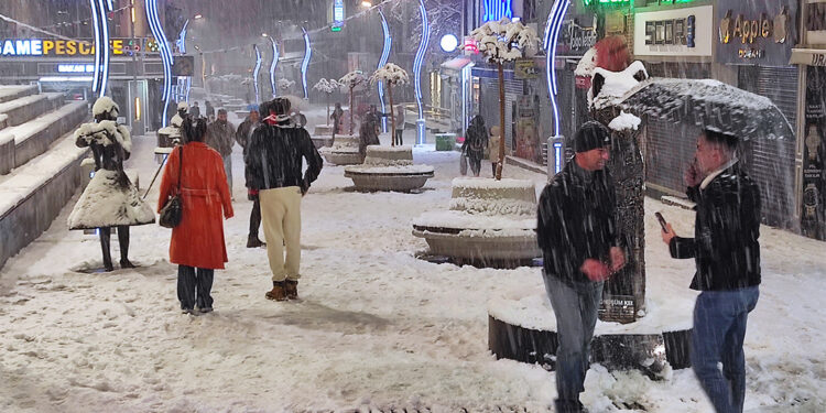 Van'da kar yağışı nedeniyle 11 ilçede eğitime ara verildi