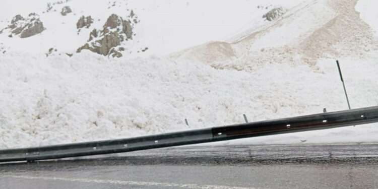 Van-Bahçesaray kara yoluna çığ düştü