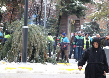 Van'da kar yağışı; 446 yerleşim yerinin yolu kapandı