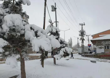Van'da kar yağışı; başkale'de okullar tatil edildi
