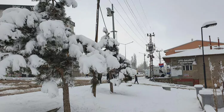 Van'da kar yağışı; başkale'de okullar tatil edildi