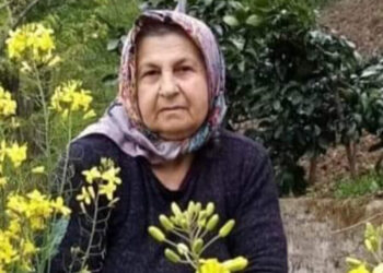 Yakacak malzeme toplarken kamyonun altında kaldı