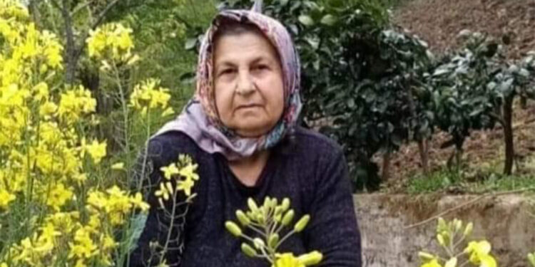 Yakacak malzeme toplarken kamyonun altında kaldı