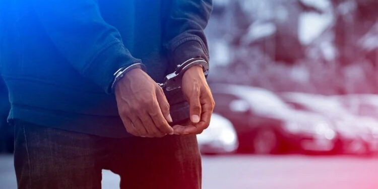 Yalova'da 'Mahzen-6' operasyonu: 15 gözaltı