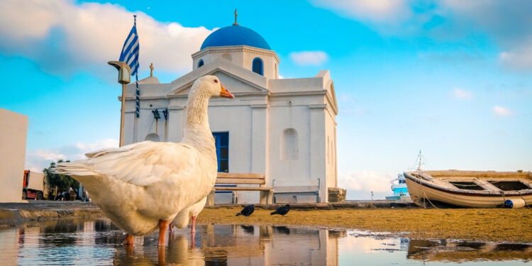 Yunanistan kapı vizesi hakkında bilinmesi gerekenler