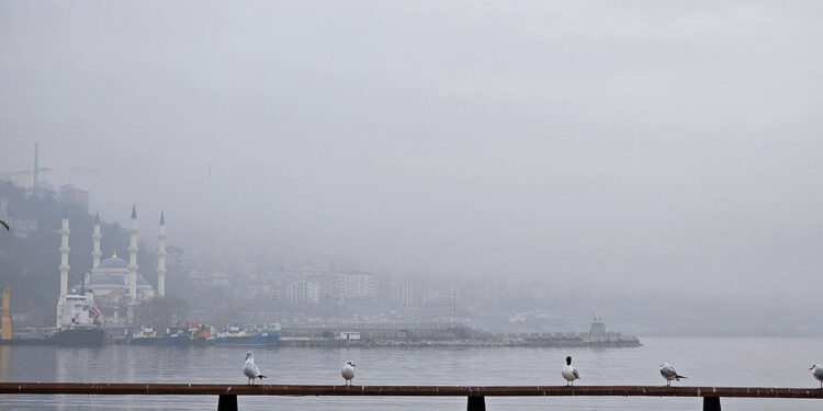 Zonguldak'ta yoğun sis etkili oldu