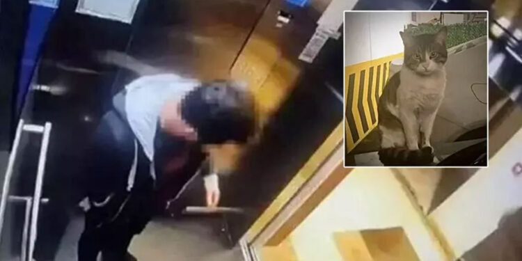 Eros'un katiline tutuklama talebi