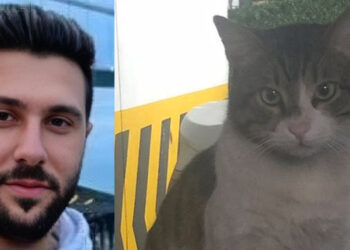 Eros isimli kedinin ölümü bize ne anlatıyor?
