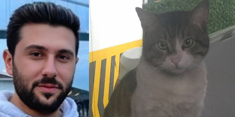 Eros isimli kedinin ölümü bize ne anlatıyor?