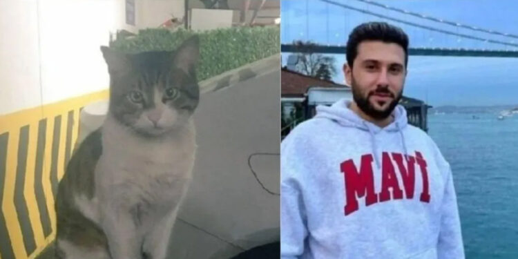 Eros için hayvanseverler adliyeye akın etti