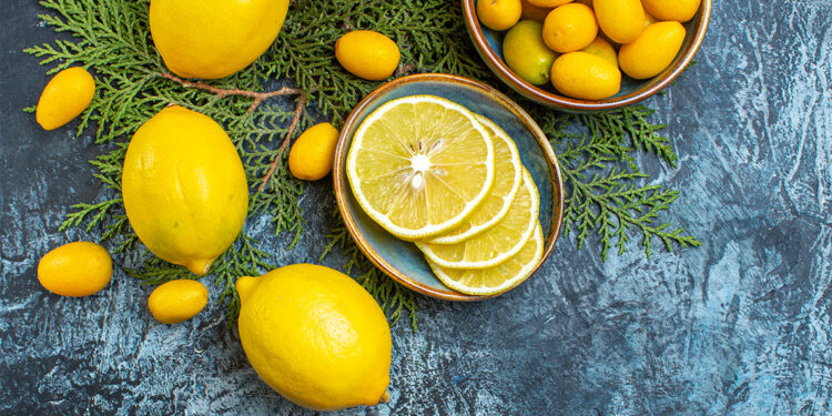 Üretici ve market arasındaki fiyat farkı en yüksek ürün limon