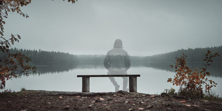 Hürmetli yoldaşım