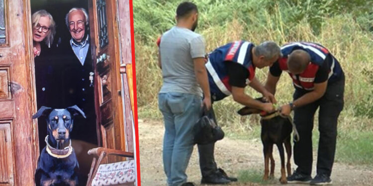 Korhan Berzeg'in kimlik ve kredi kartı ile kemik parçaları bulundu