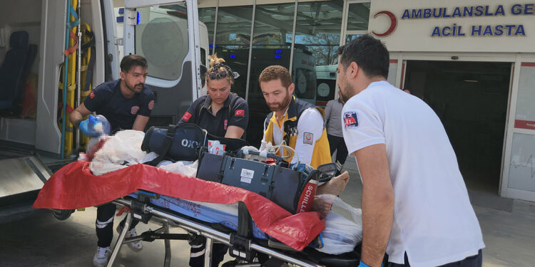 80 yaşındaki anneannesini döverek ağır yaraladı