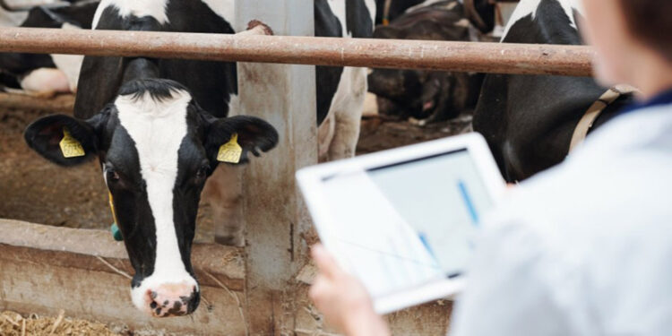 ABD'de 1 kişide kuş gribi tespit edildi