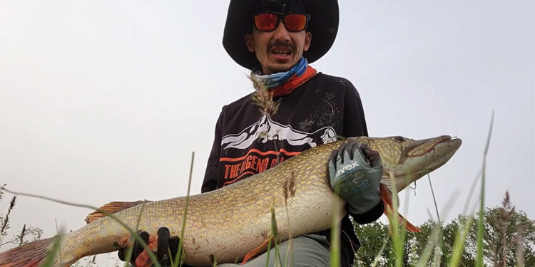 Amatör balıkçı, 9 kilogram ağırlığında turna balığı tuttu