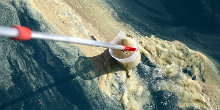 Denizanaları ve denizdeki sarı renkli birikinti incelemeye alındı