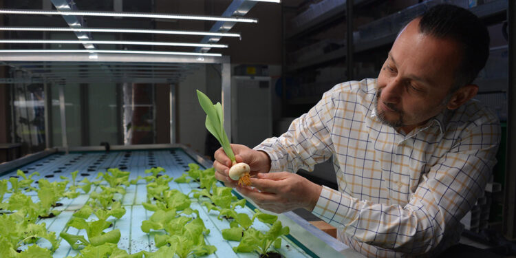 'Akuaponik'i yaygınlaştırmak için çalışıyorlar