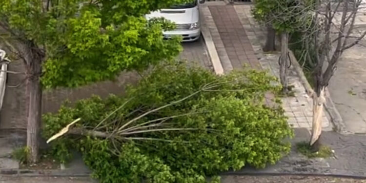 Ankara'da fırtına ve sağanak hayatı olumsuz etkiledi