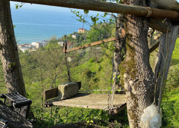 Antalya'daki teleferik kazası korkuttu, Rize'de varangele ilgi azaldı