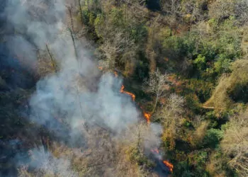 Arhavi'de örtü yangınında 4 hektarlık alanda zarar