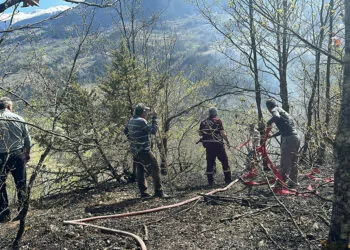 Artvin'de orman yangını; 2 hektarlık alan zarar gördü