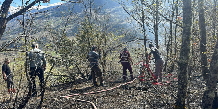 Artvin'de orman yangını; 2 hektarlık alan zarar gördü