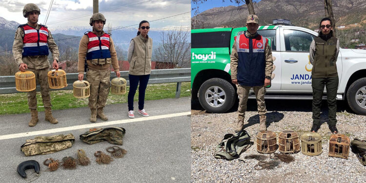 Bitlis'te kaçak avlanan 9 keklik ele geçirildi