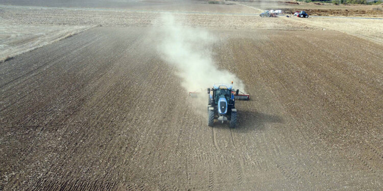 Buğdayda kritik başaklanma dönemine girildi