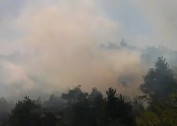 Bursa'da orman yangını çıktı
