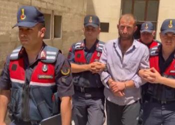 Bursa'da ormanı yakan şüpheliye 8 yıl 4 ay hapis cezası