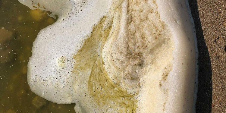 Göldeki beyaz köpükler tedirginlik yarattı