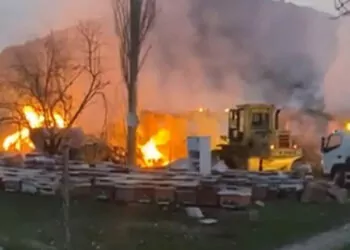 Çankırı'da ahır yangını; 21 büyükbaş öldü