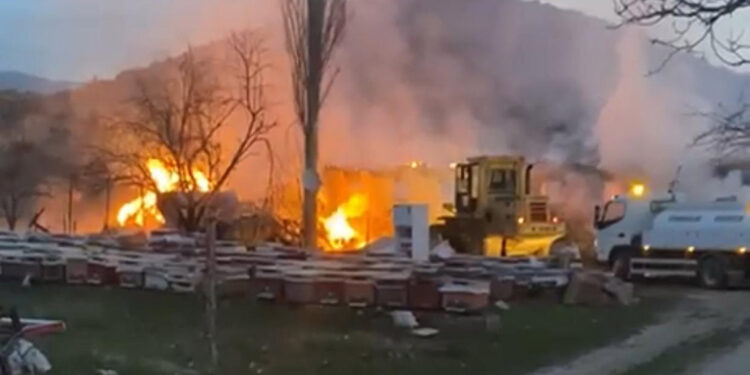 Çankırı'da ahır yangını; 21 büyükbaş öldü