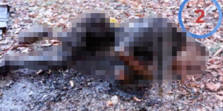 Cesedi yakılan Afgan madencinin sol böbreğine ne oldu