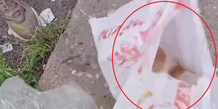 Çuvala koyulup atılan kedi, kurtarıldı