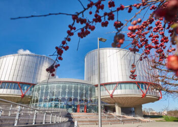 İsviçreli dört kadın, iklim değişikliğinin yaşlarından dolayı kendilerini etkilediği gerekçesiyle Avrupa İnsan Hakları Mahkemesi’nde (AİHM) İsviçre aleyhinde açtığı davayı kazandı.